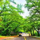 경암스포츠센터 이미지