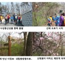 4월 10일 사성동산성과 비파산성 답사 후기 이미지