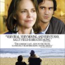 멀티윅스 이미지