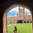 뉴남천힐사우나 | 싱글오, 시드니대학교 시계탑, 캄포스, 옵저버토리힐, 오페라하우스 야경, 메리톤 스위트 캠벨 스트리트