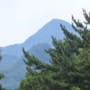 조암수협 산악회 오늘의 산행(山行)은 강원도 "치악산(雉岳山)" 탐방입니다. 이미지