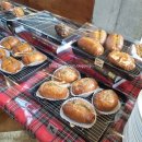 하르르 | 진주 진양호 카페 서진주 평거동 카페 하르르 커피 진주 내돈내산 솔직후기