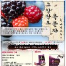 황토와복분자