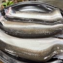 대나무집 이미지