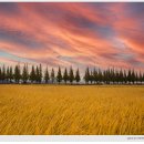 죽동마을 이미지