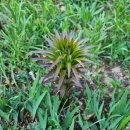 잿등공원 이미지