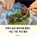 [덕정]시니어를 위한 플라워 심리치료 | 기업 워크숍 만족도 1위, 스트레스 날리는 ‘테라리움 힐링 클래스’ 출강 (가평)