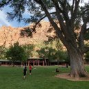 송원사슴 이미지