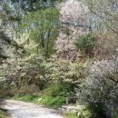 고읍농장 이미지