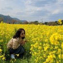 강릉푸드뱅크 이미지