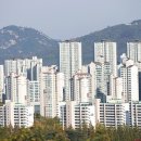 부동산중개나라 이미지