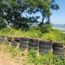 동산타이어 이미지