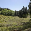 주식회사 보성 이미지