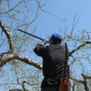 한진농장 이미지