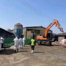 동일농장 이미지