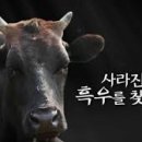 카톡모텔 이미지