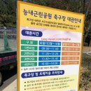 능내근린공원 축구장 이미지