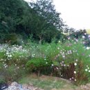 응봉산장 이미지