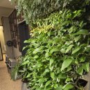 국민 헬스장 | 대화역 헬스장 국민 헬스장 후기 얼굴인식 출입에 3개월 9만원이라니