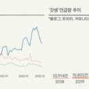 욜로유통 이미지