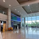 쥬쥬펫 | 인천공항 1터미널 펫가든 위치, 직접 해본 강아지 산책 후기