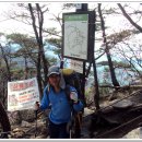 화접5리 이미지