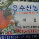 맹순이농장 이미지