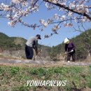 귀농