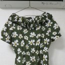 플래시드인 이미지