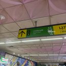 파이올린 | [부산] 사상역 “파이올린” 생딸기 두쫀쿠 맛집 후기 가격 웨이팅 꿀팁