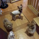 동행호텔 이미지