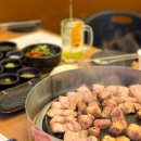 성산 애견농장 | 성산 저녁 맛집 제주도 흑돼지 추천 돌담애