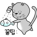 비스타디자인 - 금천구 가산디지털1로 204 | 비스타디자인