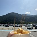 이즈앤웍스 | 강원도 여행/ 누이들의 뇌절 여행 in 양양