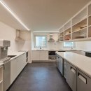 맹그로브 신설 이미지