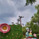 궁남지 서문주차장 이미지