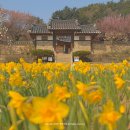 백송공원 화장실 이미지