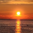 메디칼1307의원 이미지