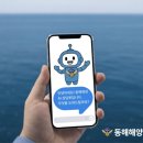 동해정보
