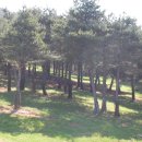 옥계목장 이미지