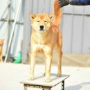 달아실 농원 네이버블로그