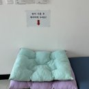 양산 중소형견 및 대형견 반려동물 지원센터에 다녀왔어요!