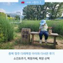초정목장 | 충북 청주 다래목장 소 맘마주고 싶은 아이와 다녀온 후기: 소건초주기, 목장카페, 목장산책