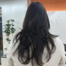 [대구/중구] 헤어살롱라포 by태상 / 태상원장 컷트, 뿌리매직 내돈내산 후기 (신규예약 꿀팁, 기존회원...