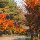 토월주유소 이미지