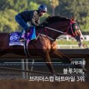 아너윌
