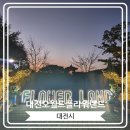 오월드 | [대전오월드플라워랜드] 대전오월드 야간개장 나이트 유니버스 후기