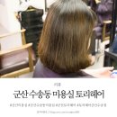 토리헤어 수송점 | 군산 수송동 미용실 토리헤어