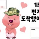 리틀퍼피 이미지