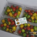 해밀2농장 이미지